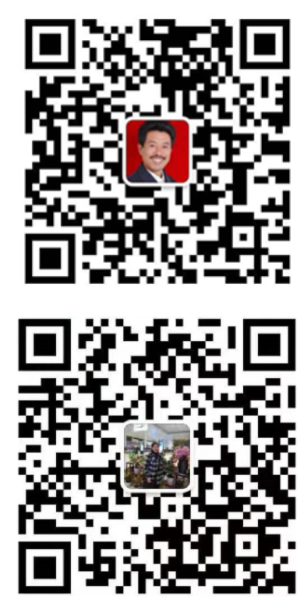 洪江市太平柑桔專業(yè)合作社,全家笑柑桔,洪江市冰糖橙,紐荷爾臍橙